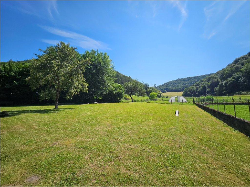 photo du jardin de la maison